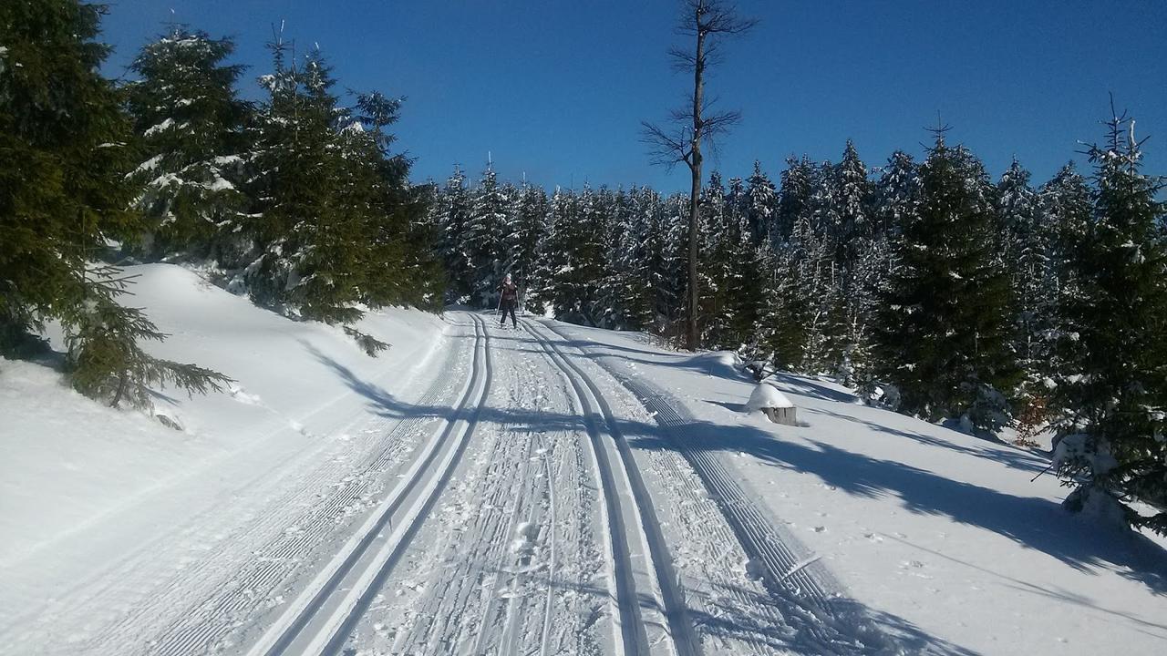 Penzion Eliška Petrikov  Exteriér fotografie