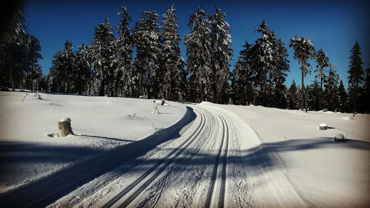 Penzion Eliška Petrikov  Exteriér fotografie