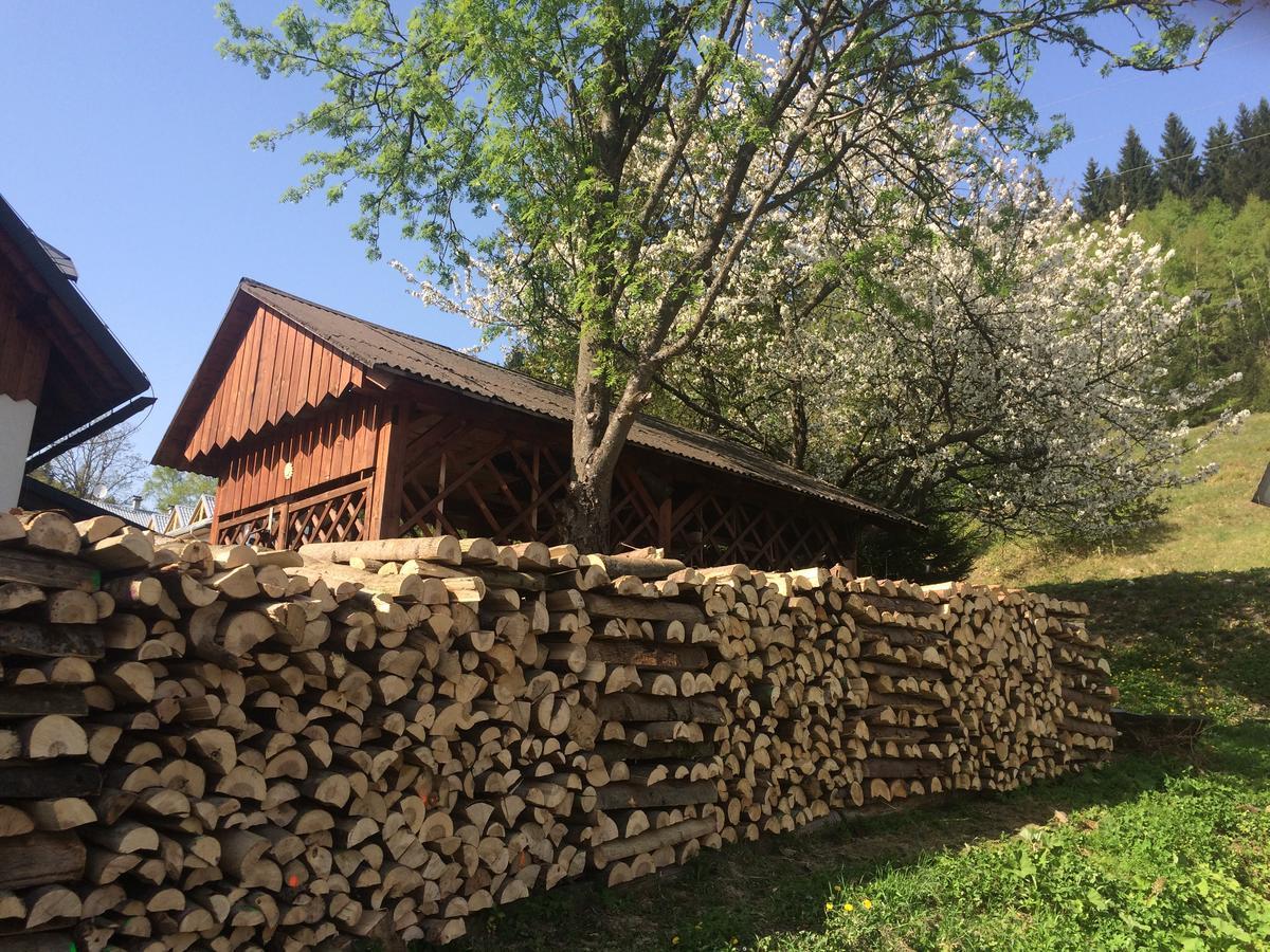 Penzion Eliška Petrikov  Exteriér fotografie